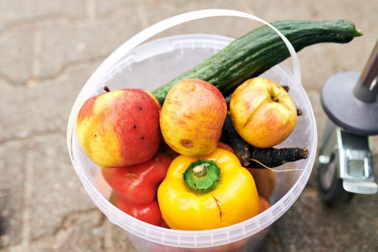Gerettetes Obst und Gemüse in einem Eimer