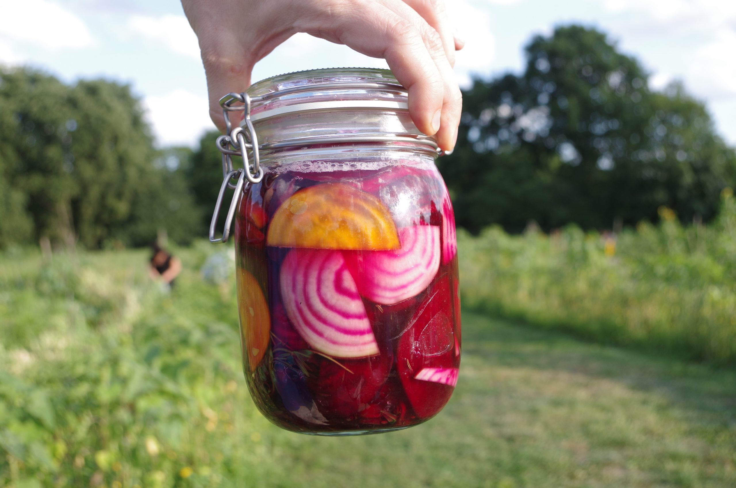 Eine Hand hält ein Einmachglas mit fermentierter Roter und Gelber Bete.