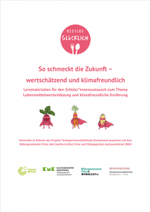 Abbildung einer Seite eines Bildungsmaterials für das Goethe Institut in China