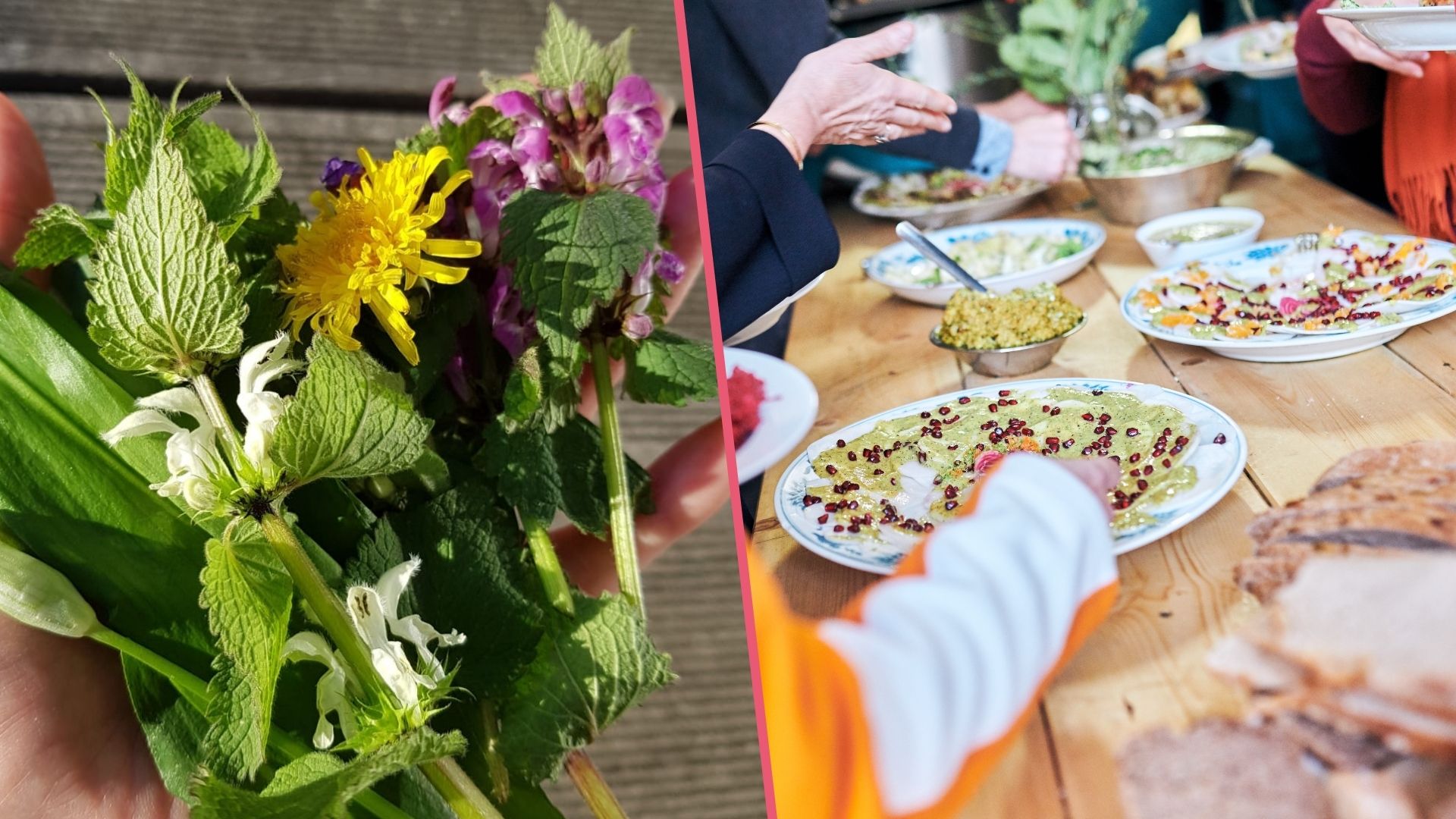 Zweigeteiltes Bild für das Angebot "Kräuterwanderung und Retterdinner" am 17. September 2025 von 15-20 Uhr in Spandau: Auf der linken Seite ist eine Hand voll mit essbaren Wildkräutern darunter Löwenzahn und Brennnessel. Auf der rechten Seite füllen sich Menschen ihre Teller mit verschiedenen Speisen, die auf einem Tisch angerichtet sind.
