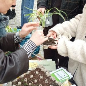 Zwei Hände überreichen ein kleines, mit Erde und Saatgut gefülltes, Gefäß.